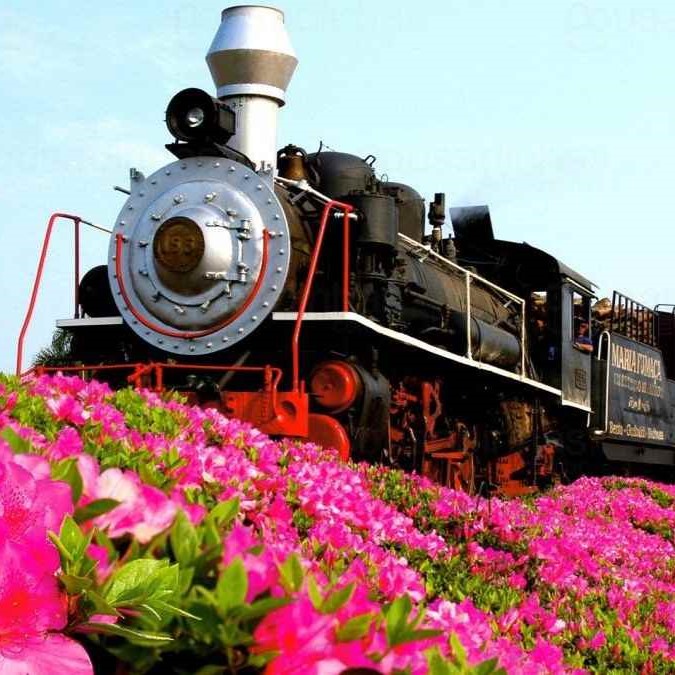 trem-maria-fumaca-gramado-passeio-flores-1-1.jpg