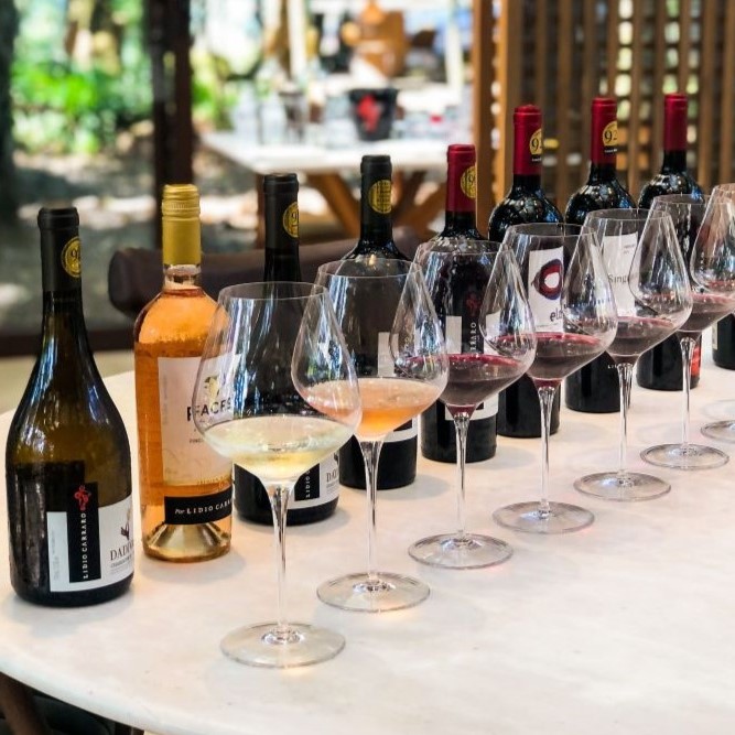 vinicola-lidio-carraro-degustacao-1-1.jpg